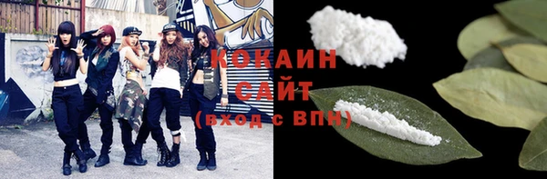 дмт Белокуриха