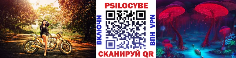 закладка  Верхняя Салда  Галлюциногенные грибы MAGIC MUSHROOMS 